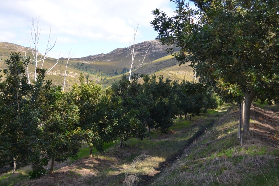 0 Bedroom Property for Sale in Herbertsdale Western Cape